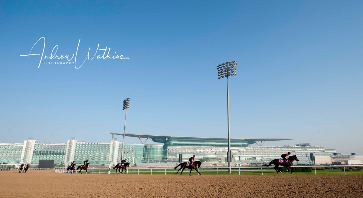 Aiden O'Briens string canter over the Meydan dirt track this morning. <a href="/TomMagnier/">Tom Magnier Coolmore</a> <a href="/coolmorestud/">Coolmore</a> <a href="/DRC_Meydan/">DRC_Meydan</a> @nicolasmith550