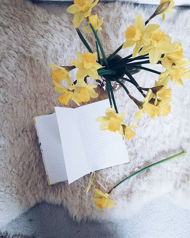 Daffodils always lift the spirits don't they? I love seeing their cheery yellow faces. I hope these daffs bring you some joy on your Thursday morning. .
.
.
#everydayflowerrituals #botanicalforagersunitedsocietyinc #botanicaldreamers #underthefloralspell… ift.tt/2J4nEHq