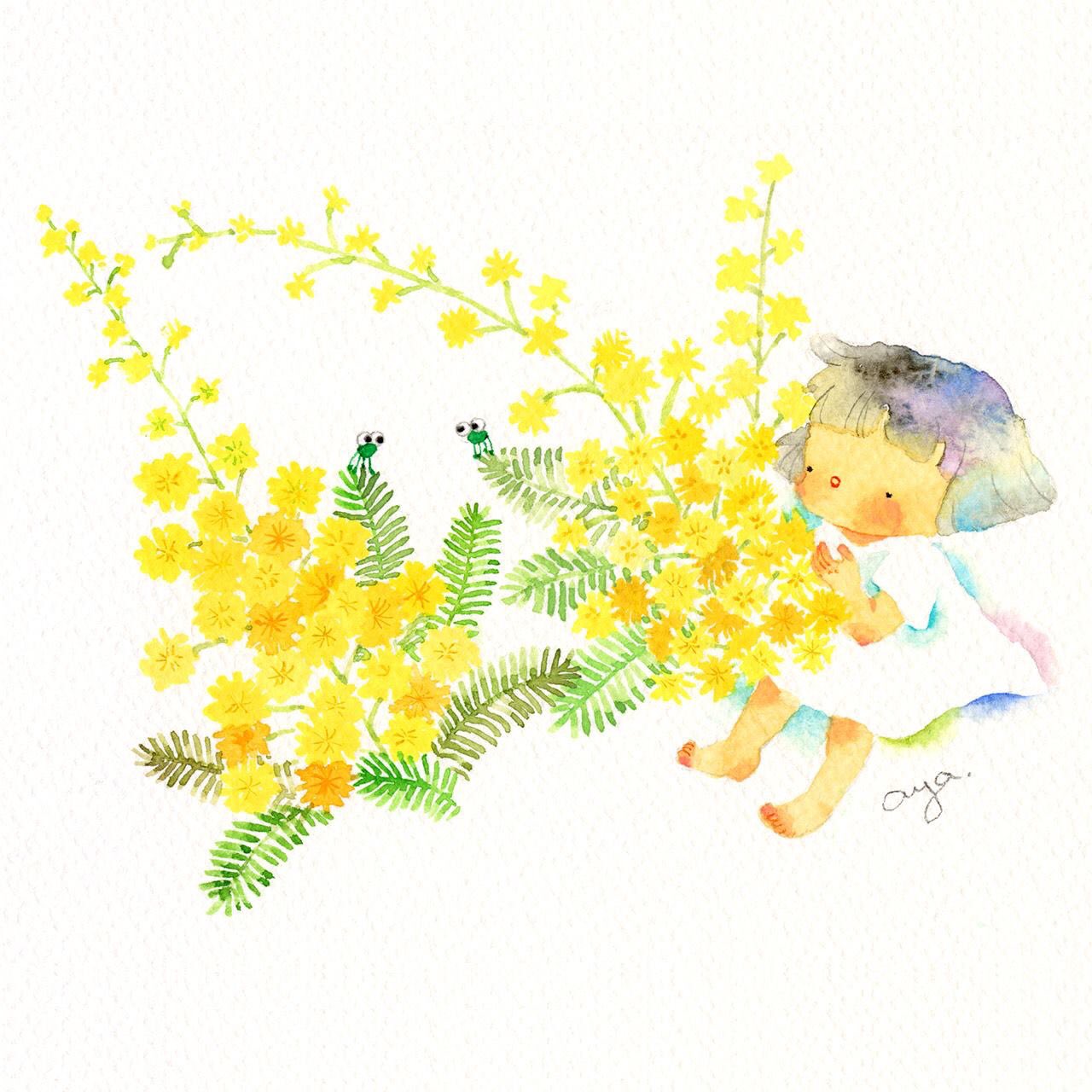 こばやしあや ミモザの研究中のスケッチ Draw Mimosa 水彩画 水彩 絵 スケッチ Sketch Drawing Art Watercolor Kawaii かわいい 癒やし こばやしあや Kobayashiaya イラスト Illustration ミモザ 練習 研究 可愛らし