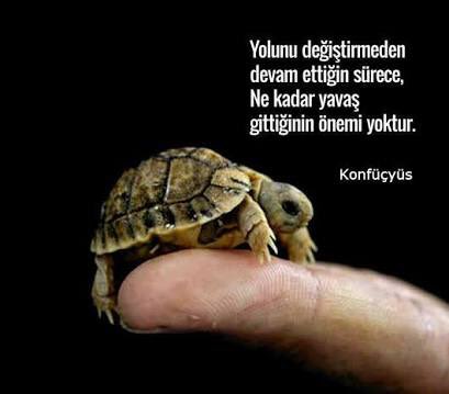 brkyern's tweet photo. TUS’a hazırlanıyorum https://t.co/QUi1HhZC0X