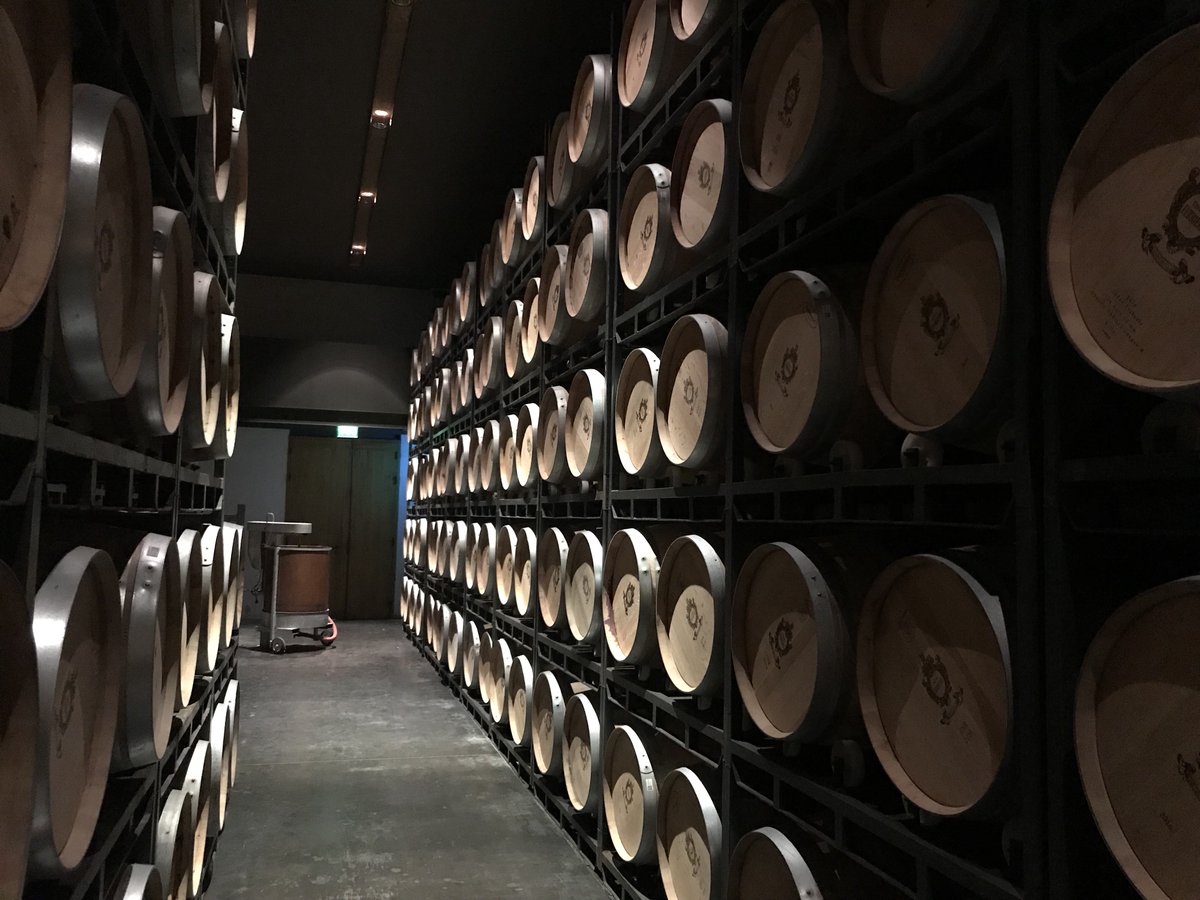 BassoSommelier's tweet photo. Première approche avec le millésime 2017 #enprimeur à #ChâteauFerrière à #Margaux chez #ClaireVillarsLurton. #Bordeaux #UGCB #CrusClasses #leschateauxnet #PaoloBasso #Primeurs #BDX #BestSommelieroftheWorld https://t.co/lMr2g7Y7lC