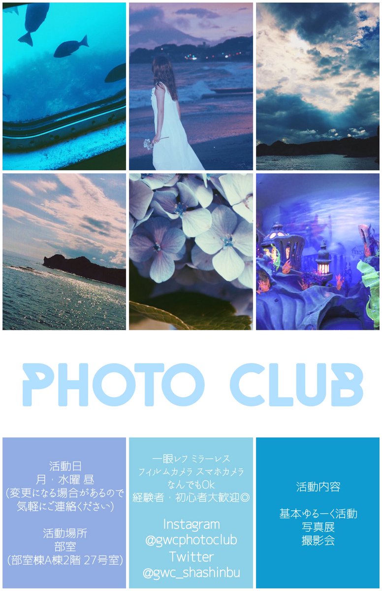 gwc_shashinbu's tweet image. ✿ 学習院女子大学写真部 ✿

経験者、初心者大歓迎◎
少しでも興味があったら是非一度お越しください📷

質問や相談はDMにて気軽にどうぞ✉️

入部お待ちしております☺️

#春から学女
#春から学習院女子 
#春からgwc