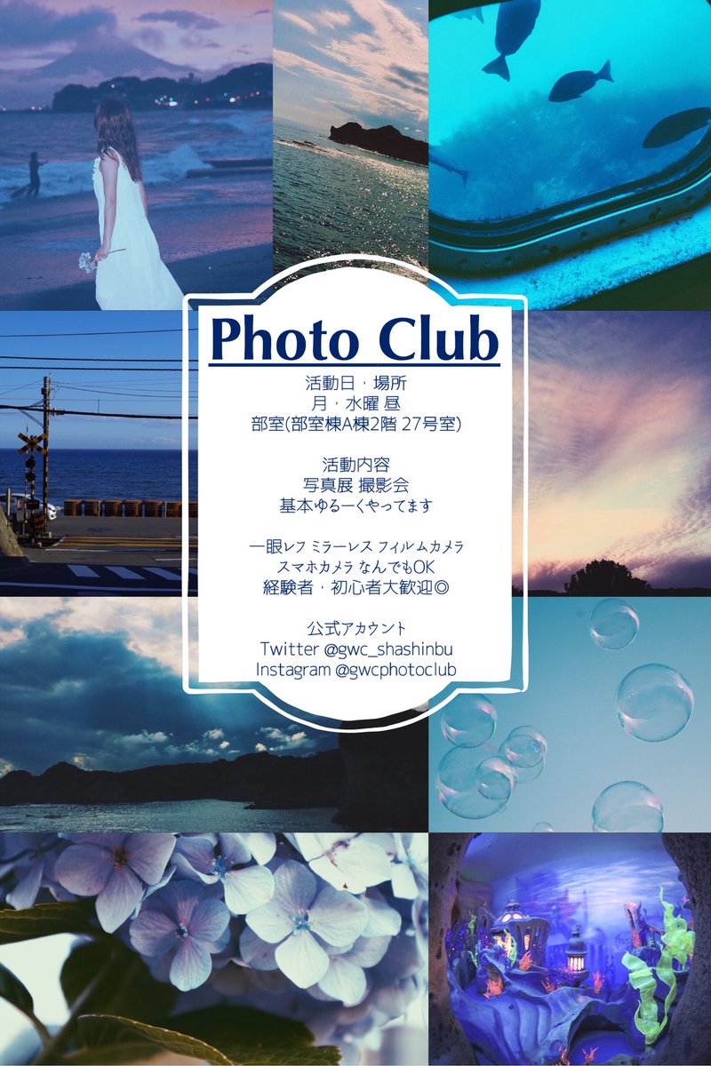 gwc_shashinbu's tweet image. ✿ 学習院女子大学写真部 ✿

経験者、初心者大歓迎◎
少しでも興味があったら是非一度お越しください📷

質問や相談はDMにて気軽にどうぞ✉️

入部お待ちしております☺️

#春から学女
#春から学習院女子 
#春からgwc