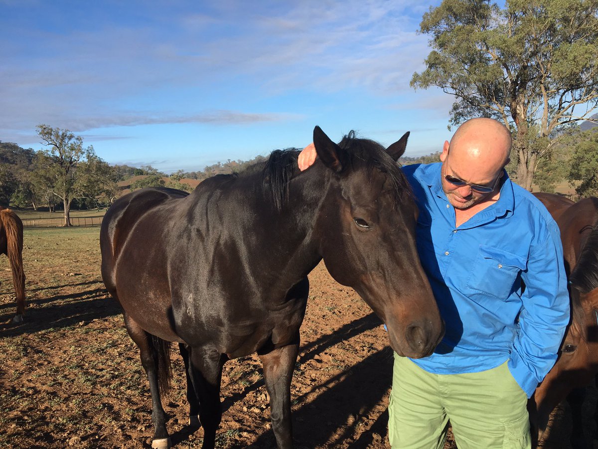 moodyracingpgm's tweet photo. Great to see Nelly in good spirits this am. No 🥕 but she remembers the cigarette smell on me https://t.co/kznxnKbXxL
