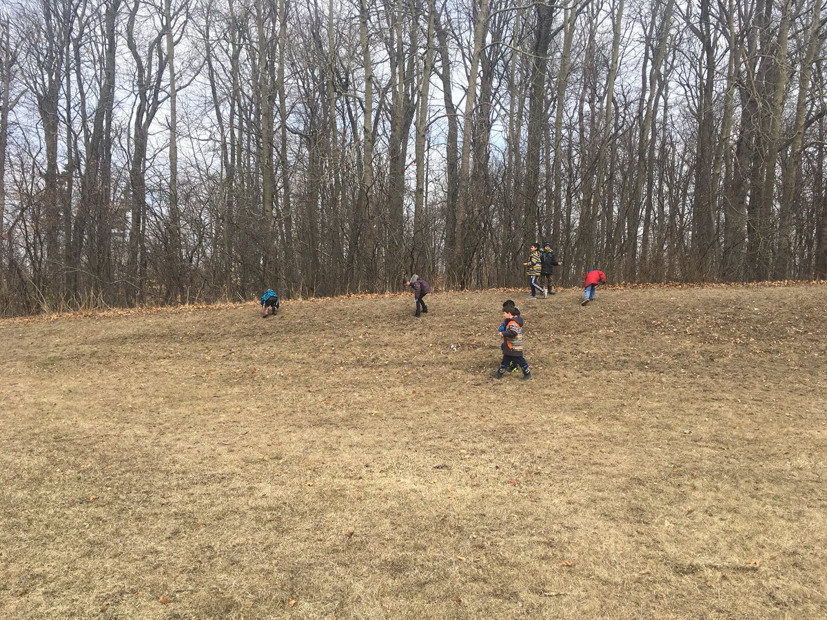 AlpineRm12's tweet photo. We collected sticks today in Grade one science to start building our structures like the three little pigs π #Science #materialsandobjects #structures. @AlpineRoom10 https://t.co/M8RXGaczWq