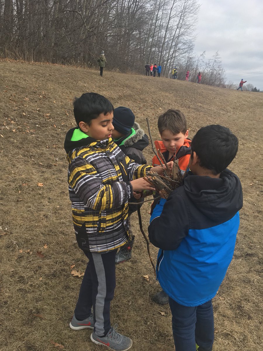 AlpineRm12's tweet photo. We collected sticks today in Grade one science to start building our structures like the three little pigs π #Science #materialsandobjects #structures. @AlpineRoom10 https://t.co/M8RXGaczWq