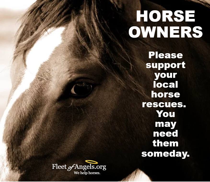 Retweeted HorsesRNotFood (@HorsesRNotFood):

#horseowners Rescue horses need love too.....Please support your local horse rescue by volunteering, donating money used tack, blankets, hay etc.  PLZ  Retweet