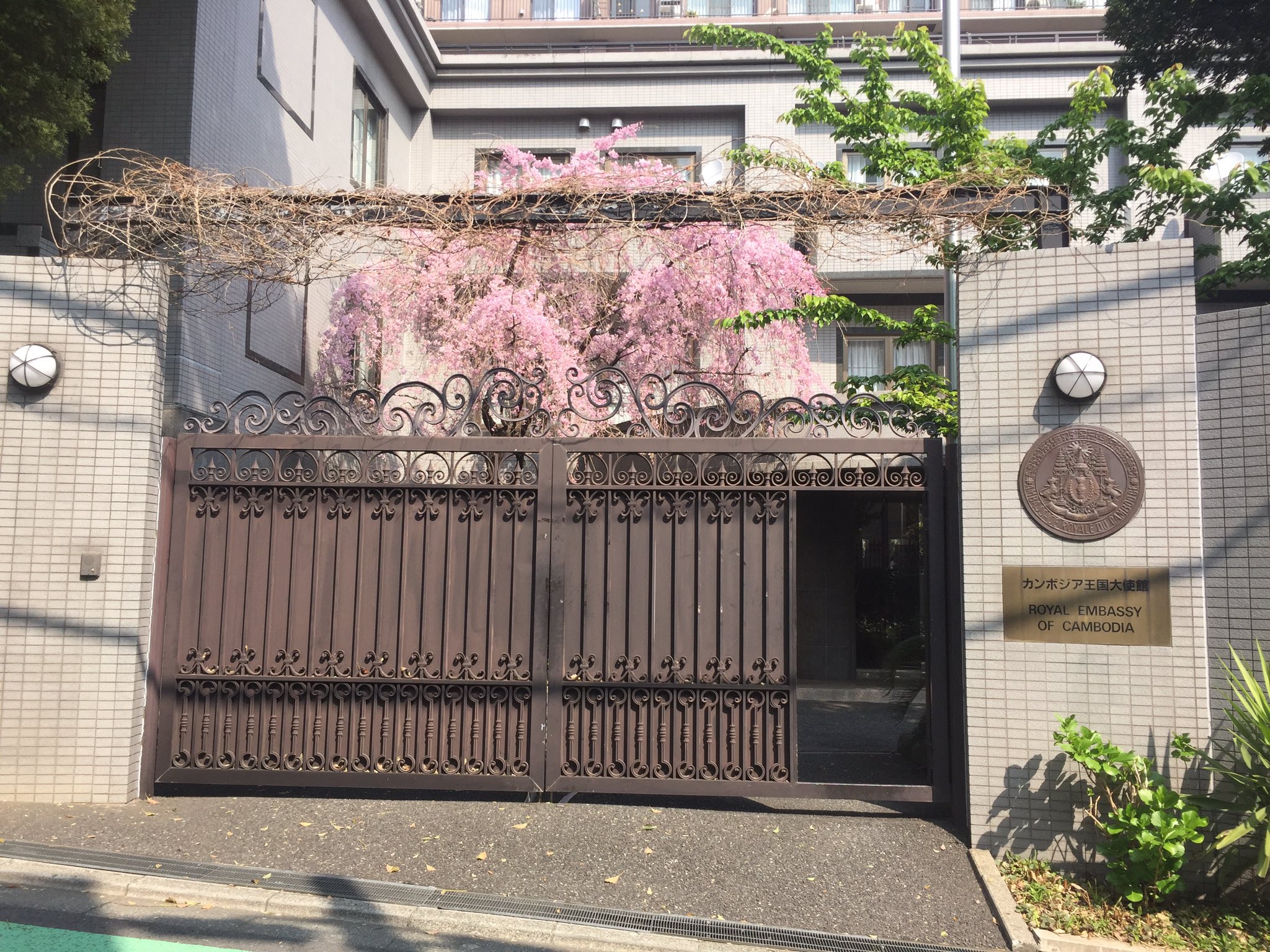 国際交流機構 Jiro ジャイロ カンボジア王国大使館 を訪問 昨日カンボジア王国大使館で Jiroの活動について説明をさせていただきました インドシナ半島南部の立憲君主国家で 国民の90 以上がクメール語を話し仏教を奉ずるクメール人 世界 国際交流機構 Jiro ジャイロ カンボジア王国大使館 を訪問 昨日カンボジア王国大使館で Jiroの活動について説明をさせていただきました インドシナ半島南部の立憲君主国家で 国民の90 以上がクメール語を話し仏教を奉ずるクメール人 世界