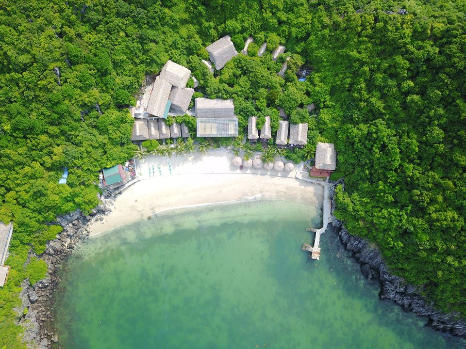 bpackingapp's tweet photo. Monkey Island in Cat Ba, Viet Nam 😍
Enjoy your travels in Viet Nam with Bpacking App. 
Download here: https://t.co/XfU0zJIiCD
#monkeyisland #catba #vietnam #backpacking #backpacker #traveller #solo #travel #app #bpackingapp https://t.co/2UvS1OsERV