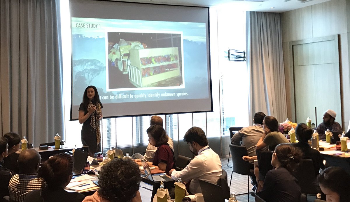 datapopalliance's tweet image. Day 3 of our training workshop begins! Josie Raine of @FREELANDpeople sharing how a data-based methodology aids in the deterrence of illegal wildlife trading and human trafficking #BigData4SD