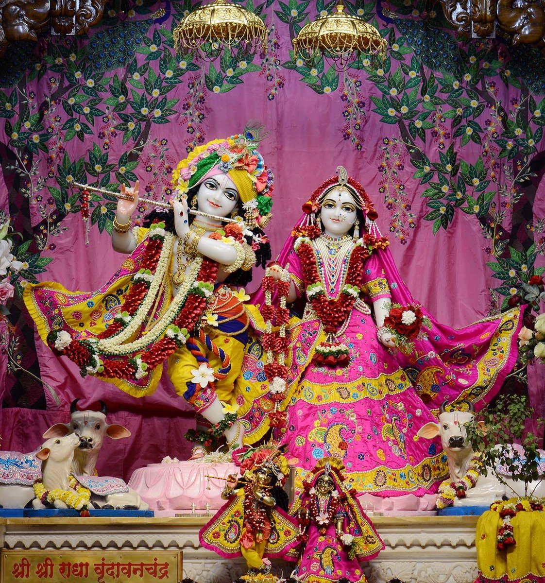 *PAWNI*कृष्णा दासी* (@rein_renu) on Twitter photo 
