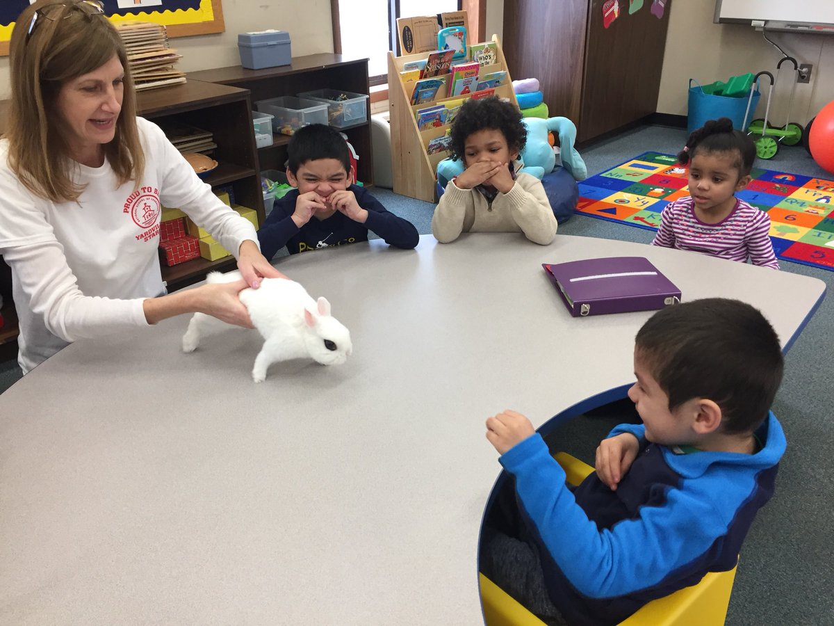 mswigginshtsd's tweet photo. Marshmello hopped by today! 🐇 @kmizenko1 https://t.co/793Gy7rPxy