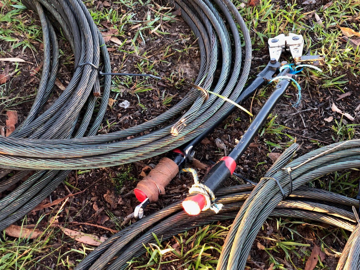 Ausgrid tweet media