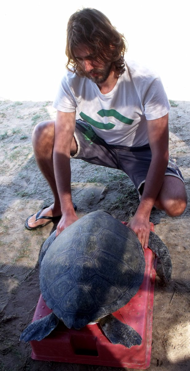 ExpLatinAmerica's tweet photo. @SequentiaBio accompanies us during our volunteer experience @karumbeuy where we learned about the activities of the center that include monitoring of #seaturtle population in Cerro Verde protected area,daily animal rehab and study of #plasticpollution consequences on #seaturtles https://t.co/qpaNPJWFrx