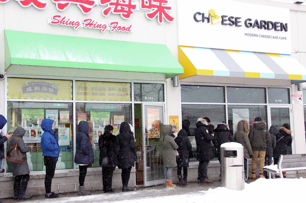 Cheese Garden (@cheesegarden1) on Twitter photo 