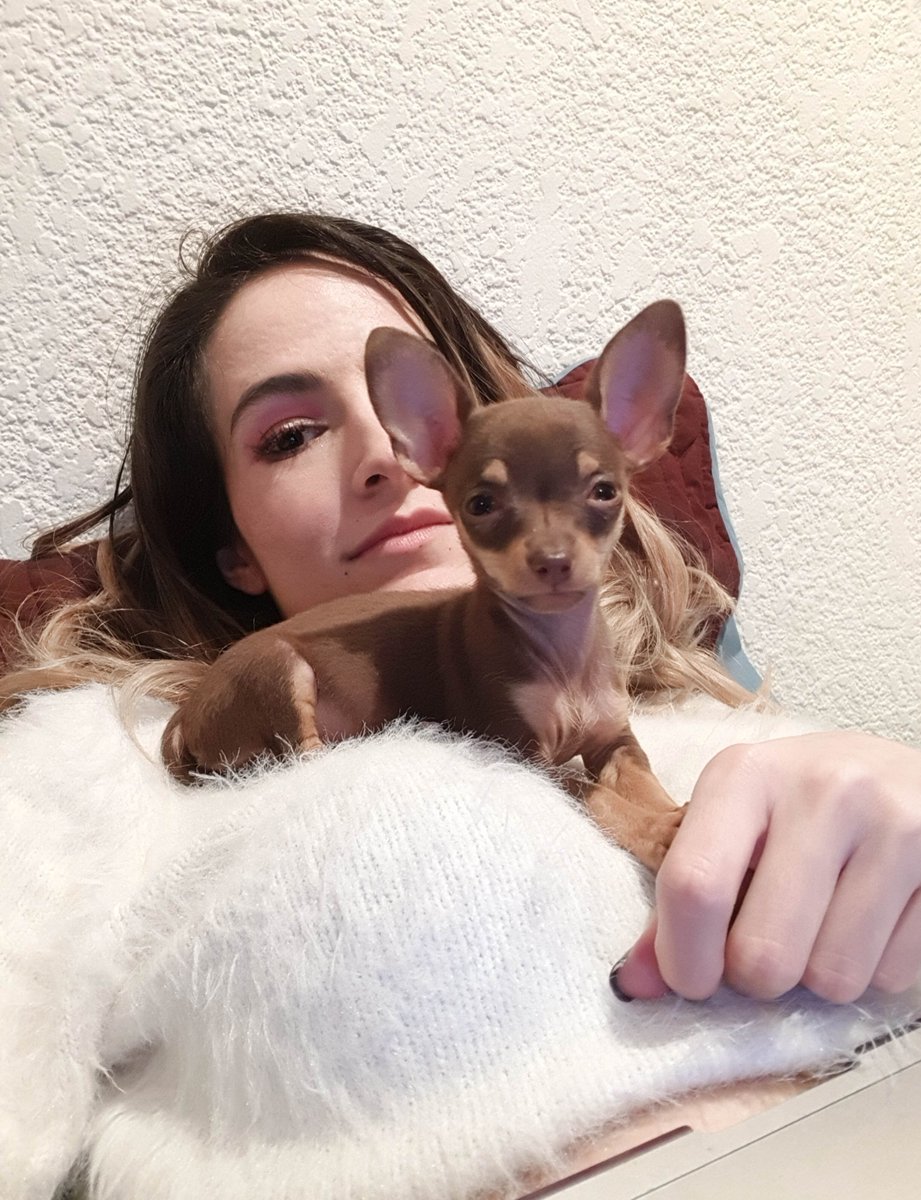 _alynana's tweet photo. Luna y yo viendo el nuevo vídeo del @Mexivergas "hijo de tu puta, zángana y desahuciada madre" JAJAJAJAJAJA https://t.co/kb43wbWOPC