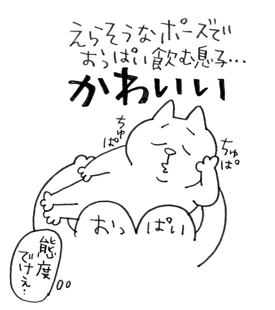 うちの息子、かわいい(親バカ)。シリーズ①

#育児絵日記 #育児漫画 