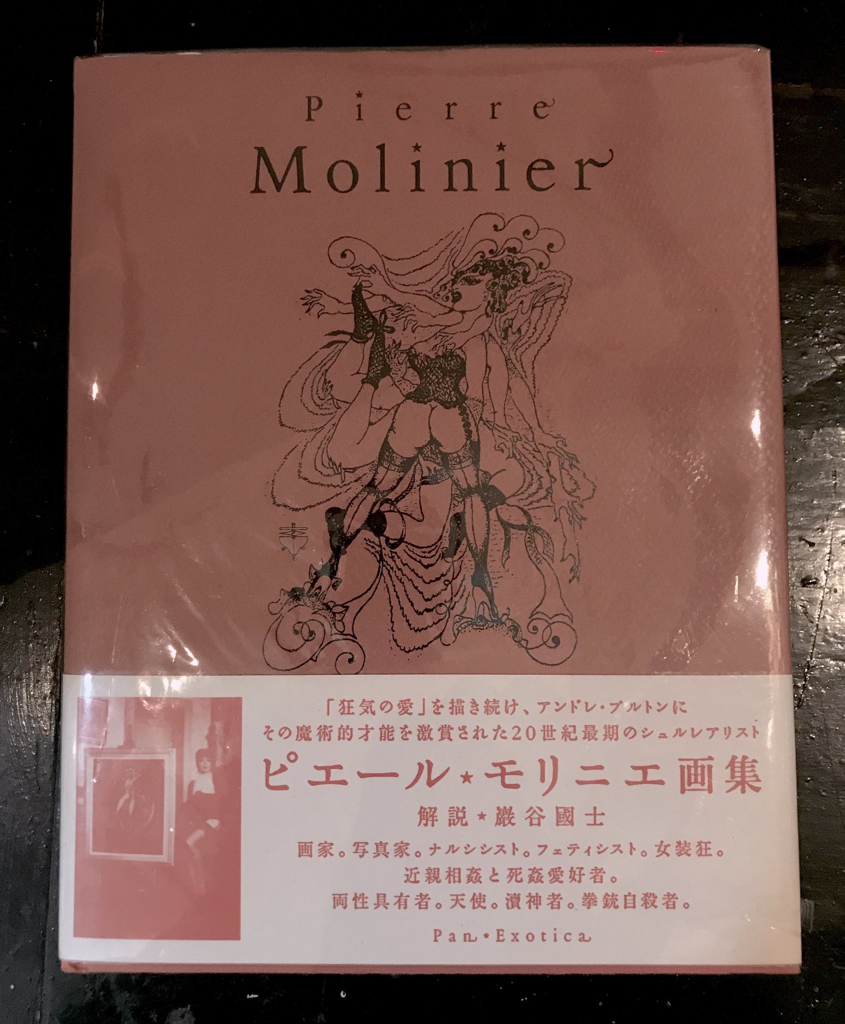 ヴァニラ画廊 on Twitter