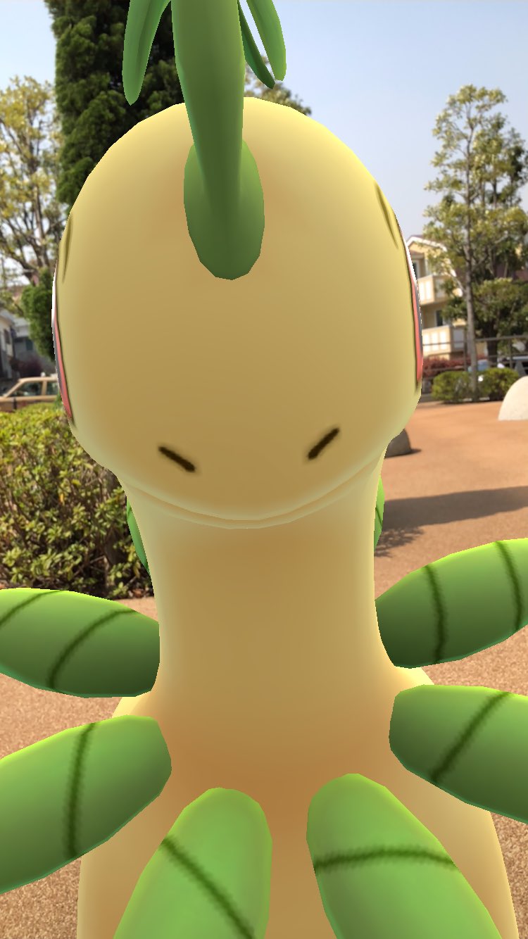 ねごん ポケモンgo 今日は野生のベイリーフ 少し苦労したけど お尻の撮影に成功 ななのみ与えてもすぐ振り向いてしまうのでなかなか大変 以前のように ななのみ与えなくても回り込める日がまた くるといいな ポケモンgo ベイリーフ