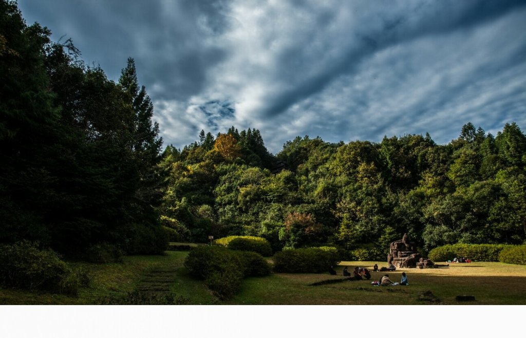 SWIKADESIGN tweet picture