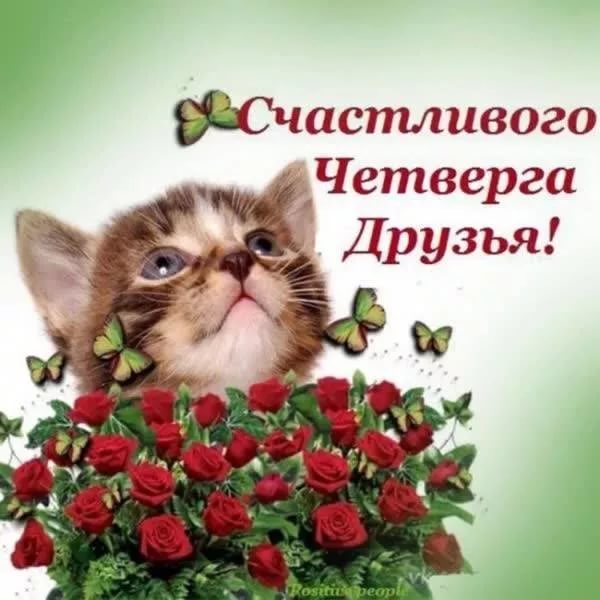 Картинки, смешные картинки про четверг