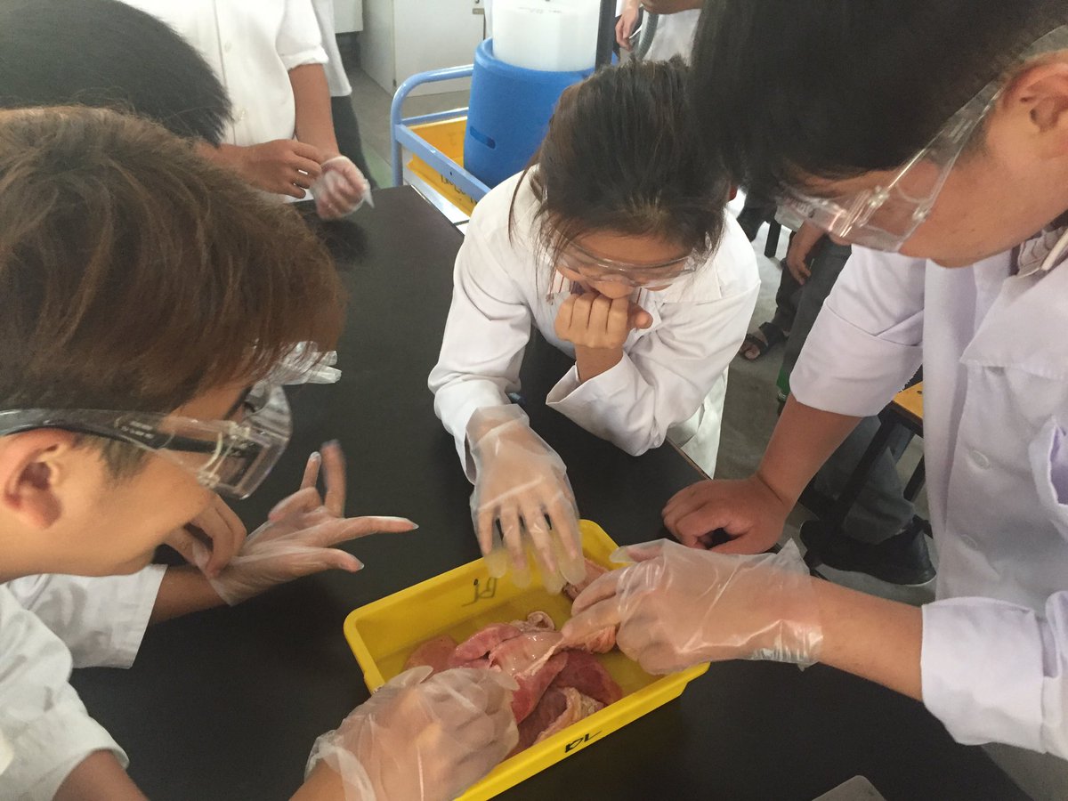 KTJSeniorSchool's tweet photo. Form 4 @KTJ_School learning about breathing and respiration. #Biology https://t.co/5UEYkOI2yD