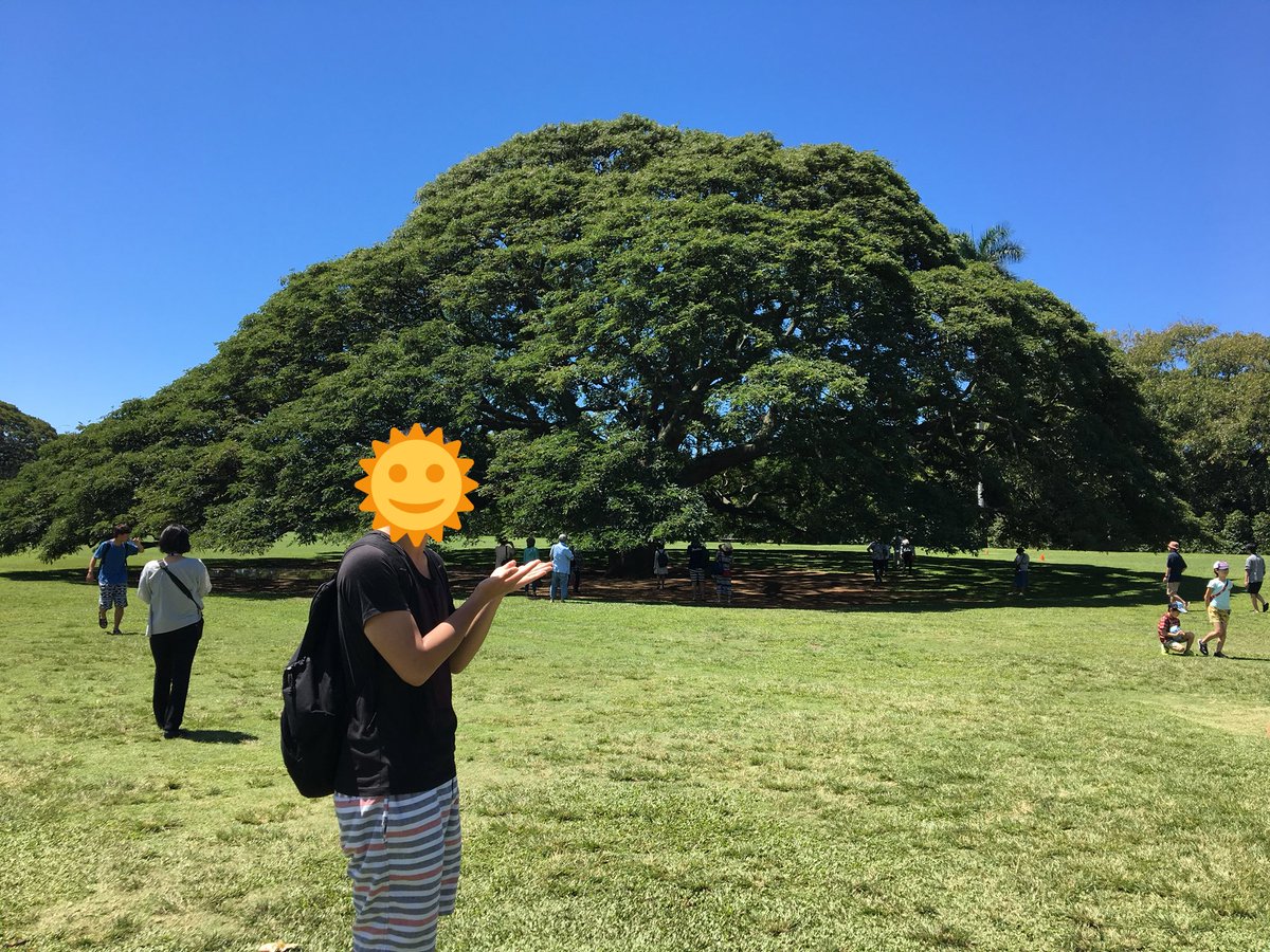 Kashiwaman 日立の樹 アラモアナガーデン 日立製作所のcm この木なんの木 でお馴染みの 日本一有名な樹 柏サポとしてぜひ一度来たい場所だった 夢が叶った その雄大さに感動した