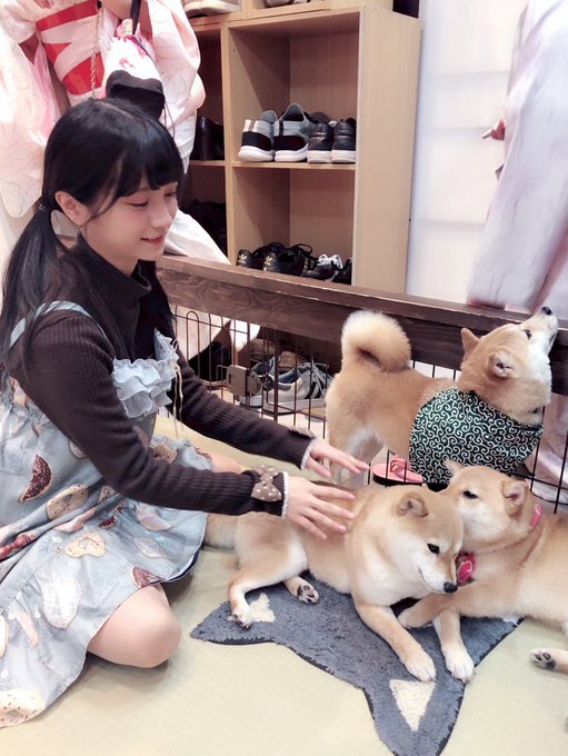 コスプレイヤー橘子のTwitter画像44