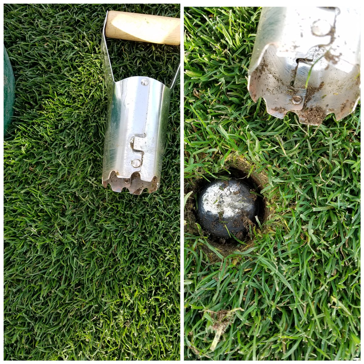 Kevin White, CSFM tweet media