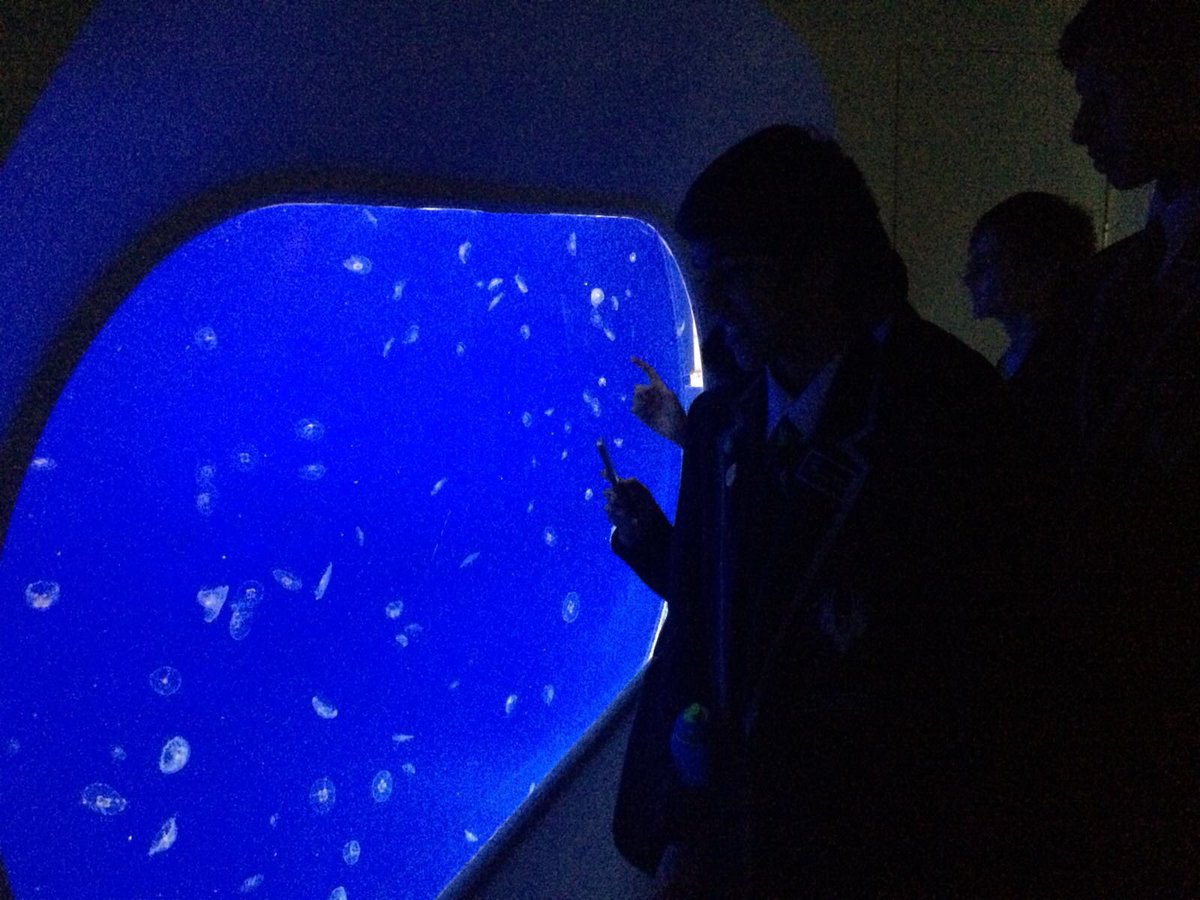 ErnestBevin_Sci's tweet photo. The year 9’s had an informative trip @HornimanMuseum @ErnestBevinColl https://t.co/85btokb5mG