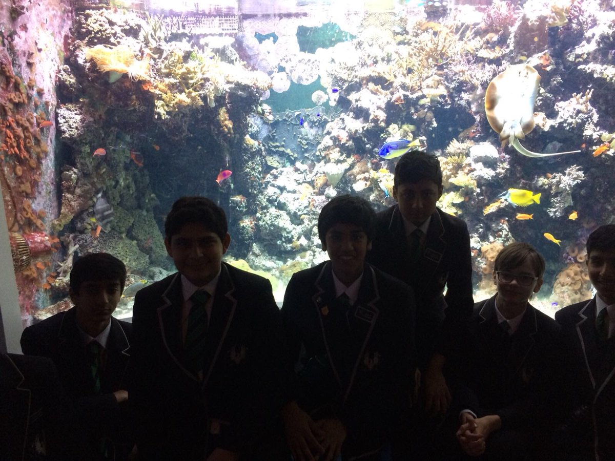ErnestBevin_Sci's tweet photo. The year 9’s had an informative trip @HornimanMuseum @ErnestBevinColl https://t.co/85btokb5mG