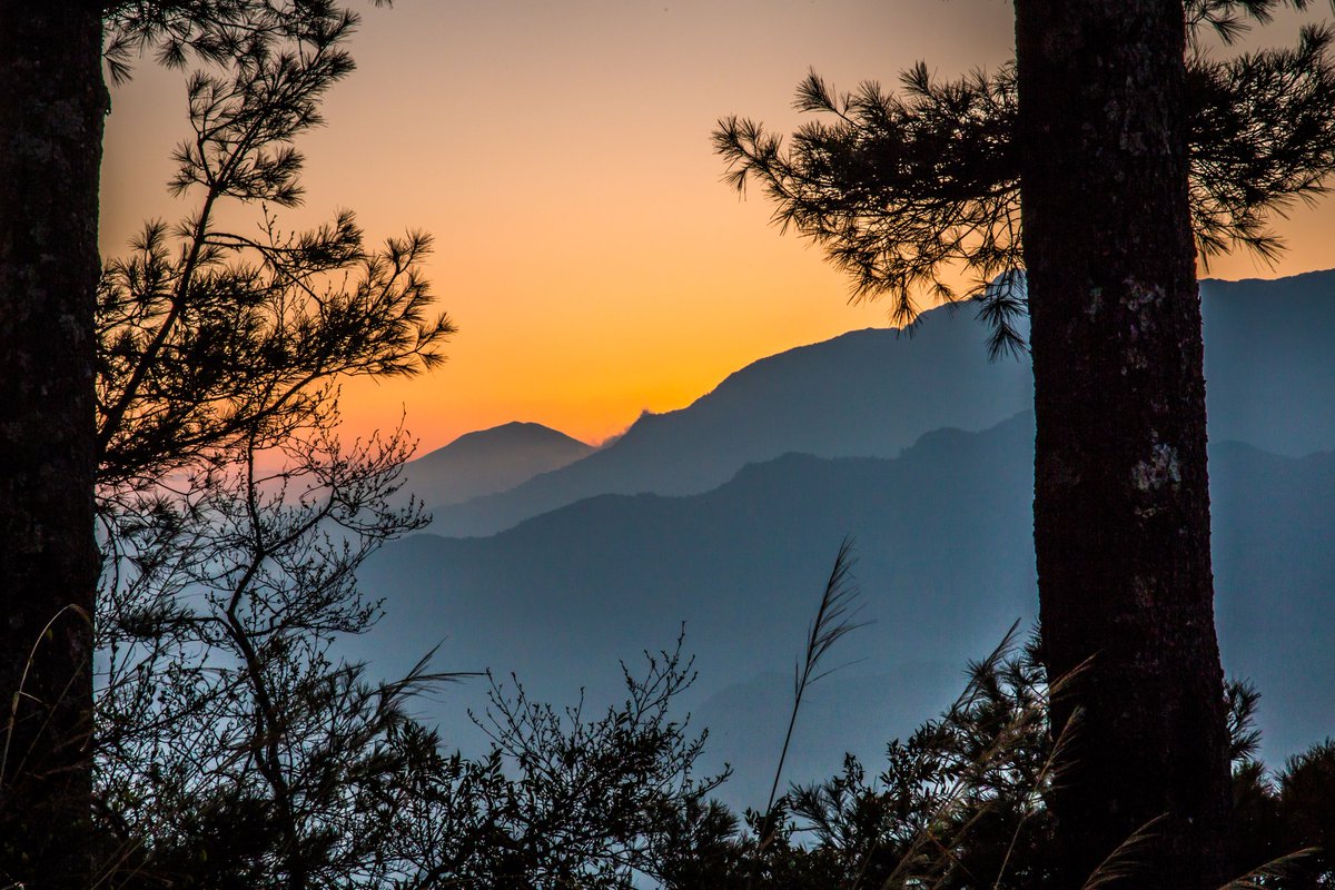 alyonakram's tweet photo. Good morning #sunrise #Taiwan #TaiwanTravelAct #naturelovers #landscapephotography #alishan #mountains #MorningMotivation #worldpgictures #Hello https://t.co/6akk8H7NZP