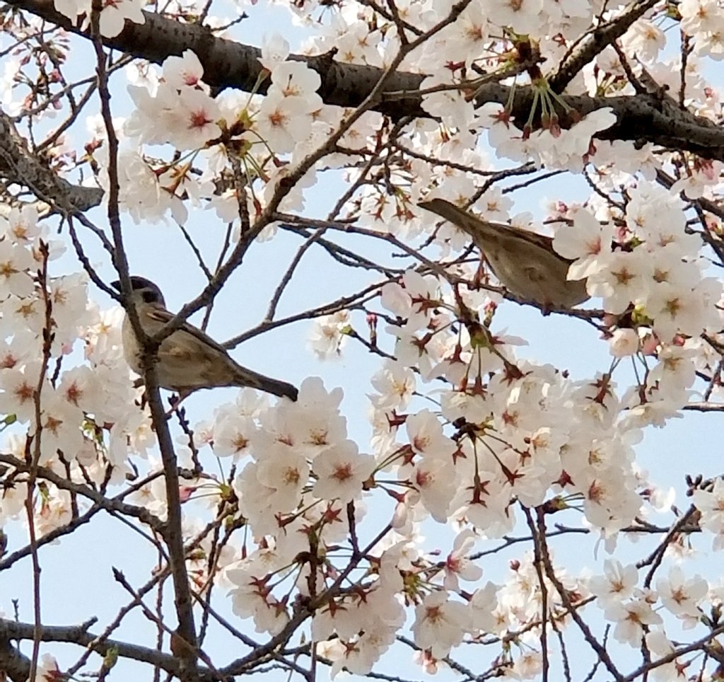 はんにん、いました 