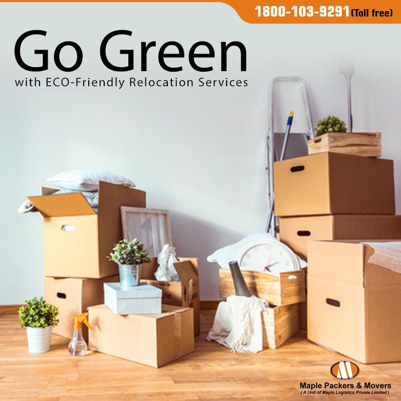 MaplePackers's tweet image. Maple Packers &amp;amp; Movers offers a complete solution for packing and moving to the people. We can offer services for Relocation with plant to help you keep your plants with you wherever you go. bit.ly/2iIFk0k
#MapplePackersMovers #PlantRelocation