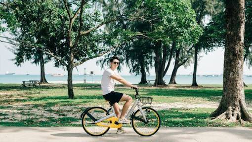 💥 Odyssey Protocol is 2 days away from our Wallet Integration  Release with <a href="/OBikeInc/">oBike Inc</a> 💥 $OCN 

#crypto #ocn #ocoin #altcoins