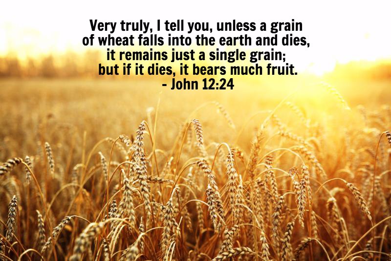 MrsMSheppard's tweet photo. What grows from that painful planting is God's business. But sowing in faith is ours and, like the early disciples, our faithfulness is never sown in vain.
@aliciachole #40DaysOfDecrease https://t.co/psao9ZJXXX