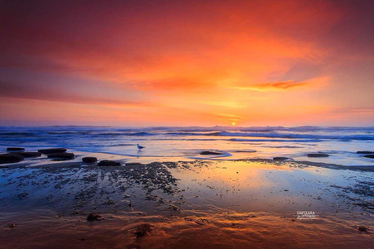 dapixara's tweet image. Today's sightly ocean sunrise at Nauset beach in Orleans, Cape Cod. #capecod #StormHour #ItsAmazingOutThere