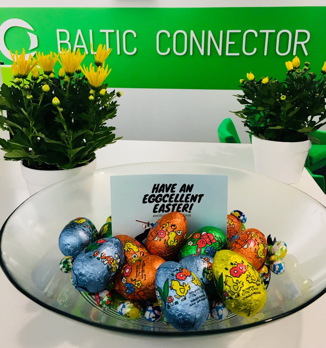 BCOYfi's tweet photo. Team @BCOYfi is off to enjoy the Easter Holidays! Have an eggcellent one / Hyvää pääsiäistä / Glad påsk 🐰🐣💐 https://t.co/EU0eDV4bQP