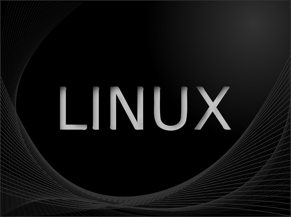 theissuecom tweet picture