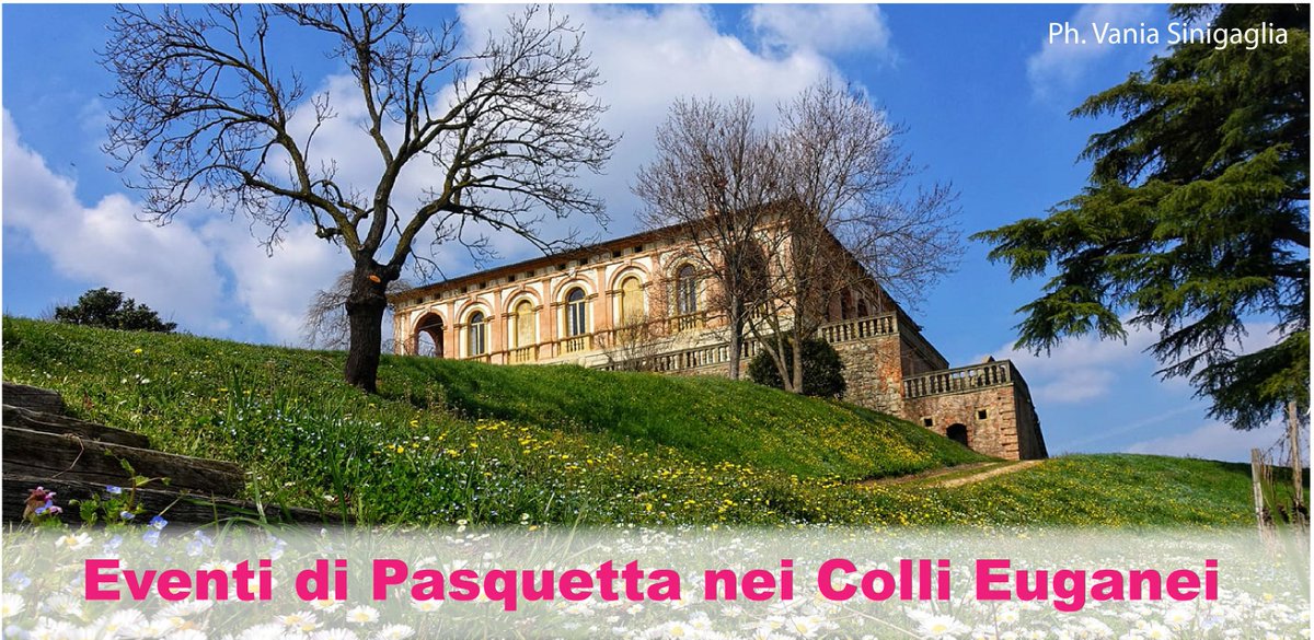 Euganeamente tweet media