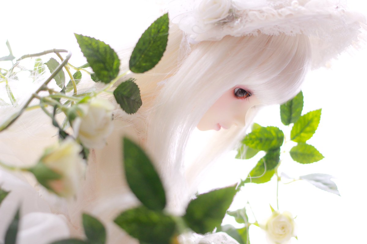 にこみ (@253_doll) / Posts / X