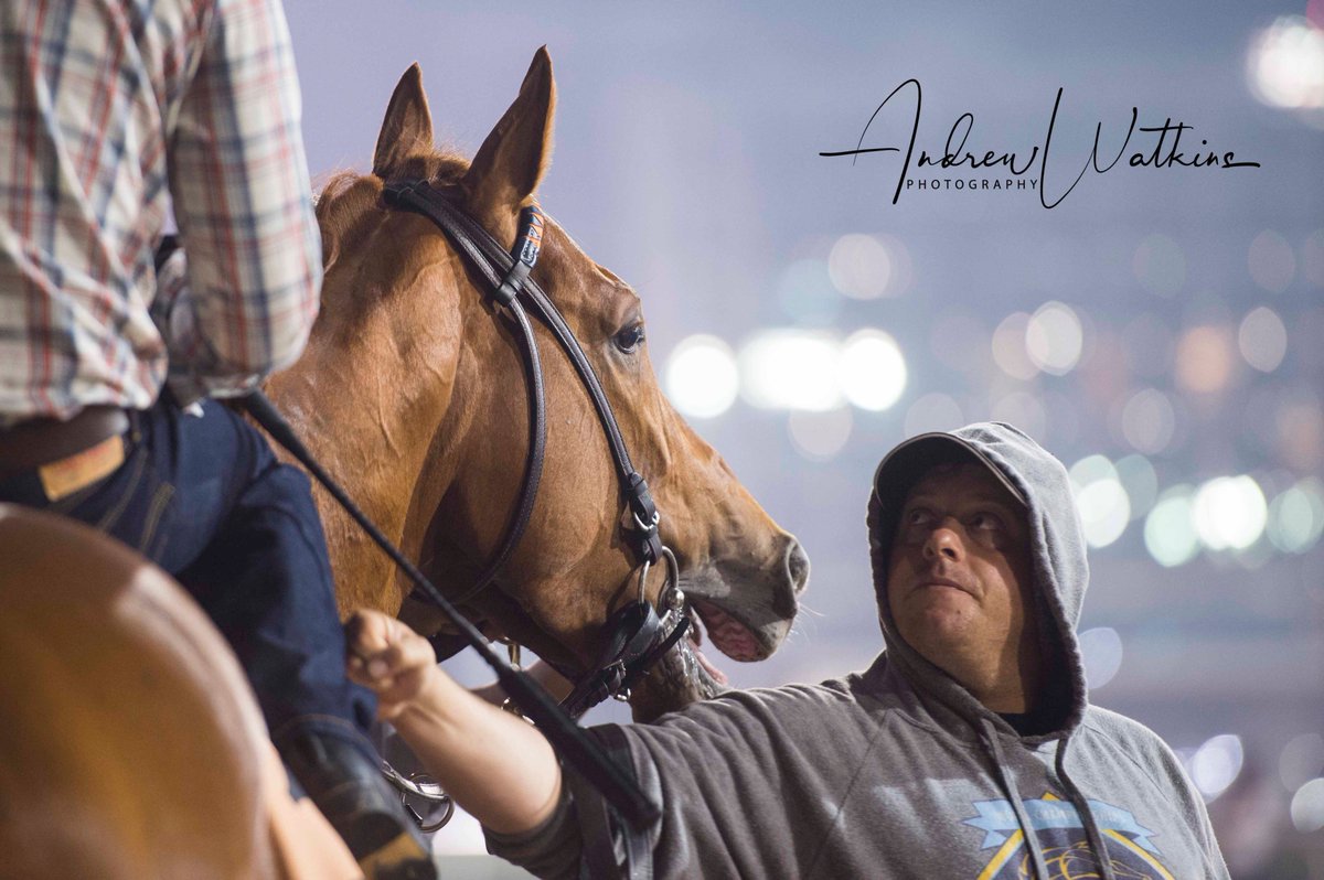 Trainer Chad Summers with Mind Your Biscuits <a href="/DRC_Meydan/">DRC_Meydan</a> this morning
