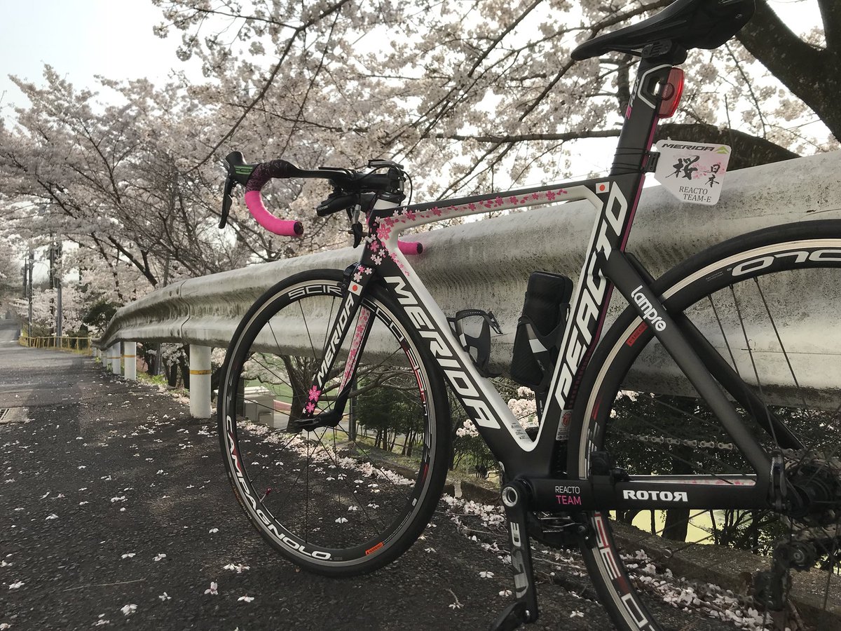 メリダ REACTO TEAM E 桜リアクト
