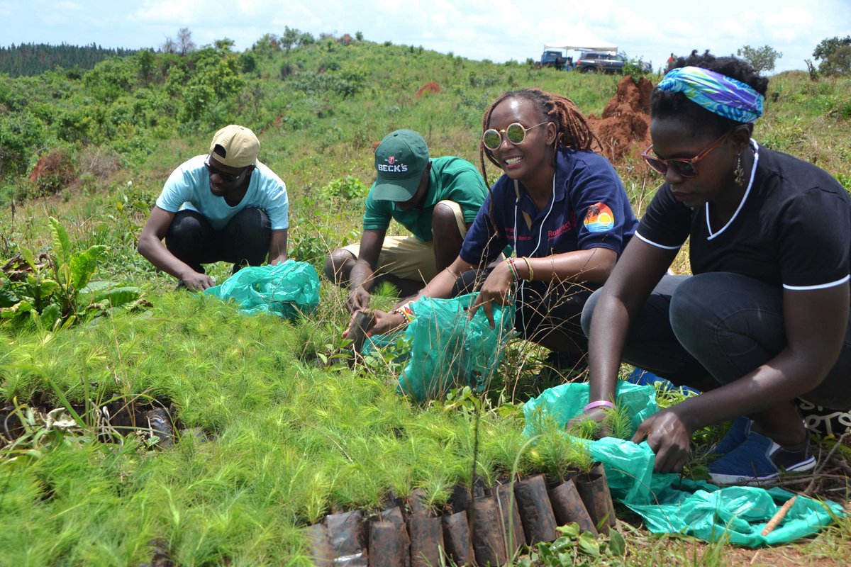 damaironlady's tweet image. Until you dig a hole and plant tree, water it, nature it until it grows, you've done nothing. You're just talking - Wangari Maathai Represented @RctMuyengabree @RctKampalaSouth #MissionGoGreen project, Kiboga District. We planted over 2000 trees.