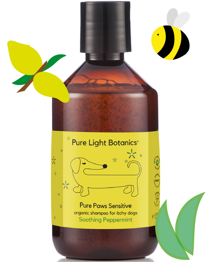 PureLightCandle's tweet photo. Our new Online Store is now open! #new #organic #natural https://t.co/2qml6cdwT1 https://t.co/ph5Tl2V0Er
