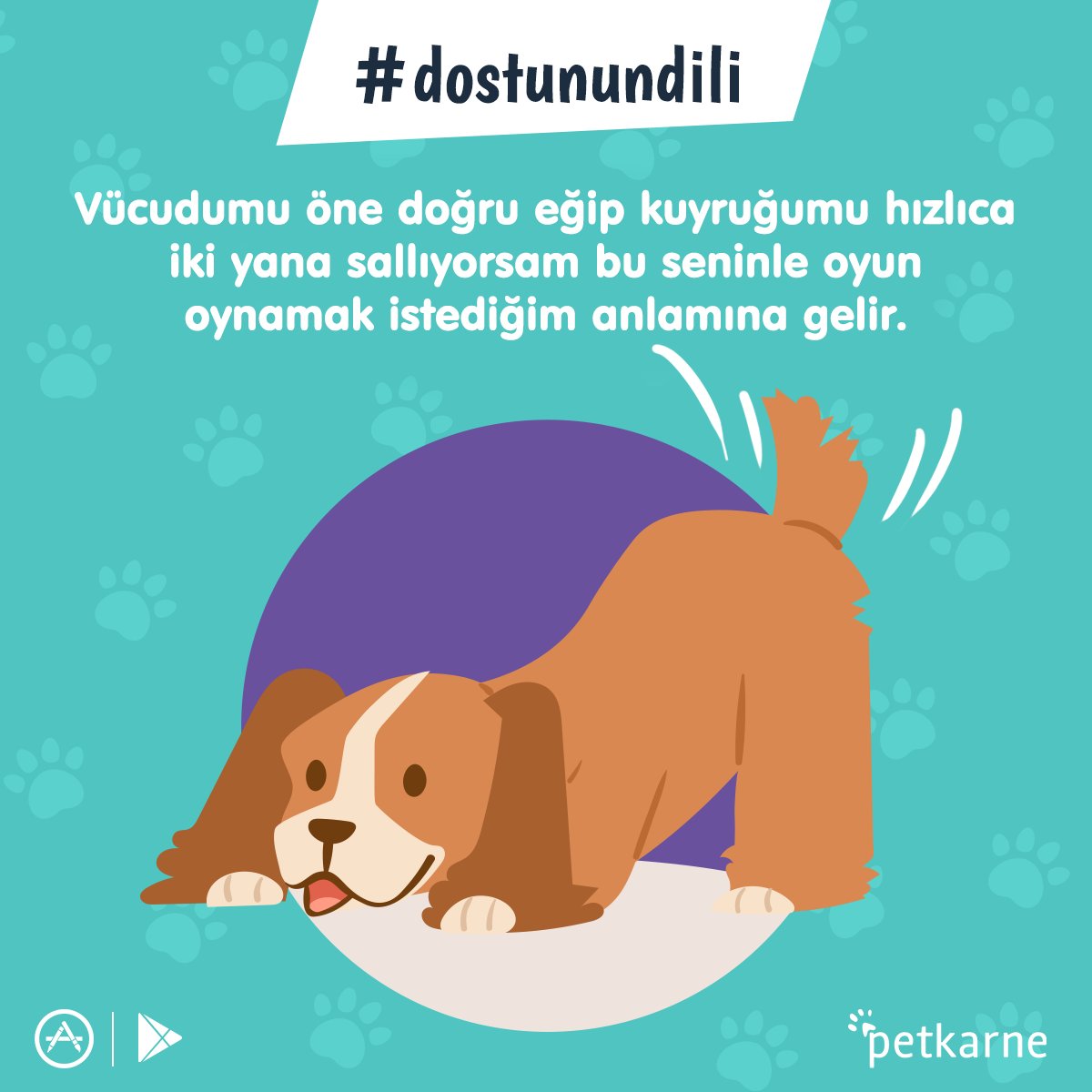 petkarne's tweet photo. Konuşamıyor olabilirim ama fark edebilirsen aslında davranışlarımla sana pek çok şey anlatıyorum 🐶 https://t.co/l1bjSzH7Ja