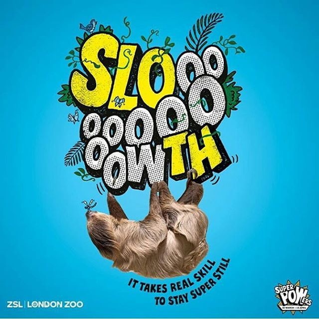 Tiphaine_agency's tweet image. Illustration by @andysmithdraws for London and Whipsnade Zoo
#superpowers #campaign #slowth #londonzoo #whipsnadezoo #letterdesign #typography #andysmith ift.tt/2pN0vkB