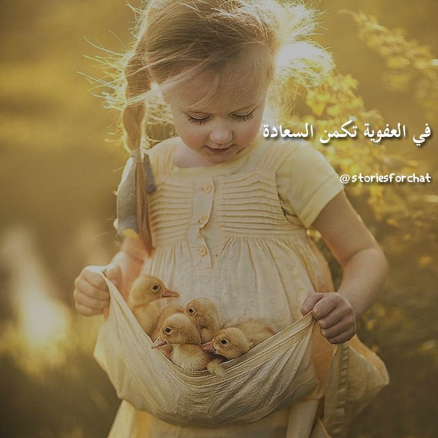storiesforchat's tweet photo. #صباح_الخير https://t.co/MZK6qRnMyJ