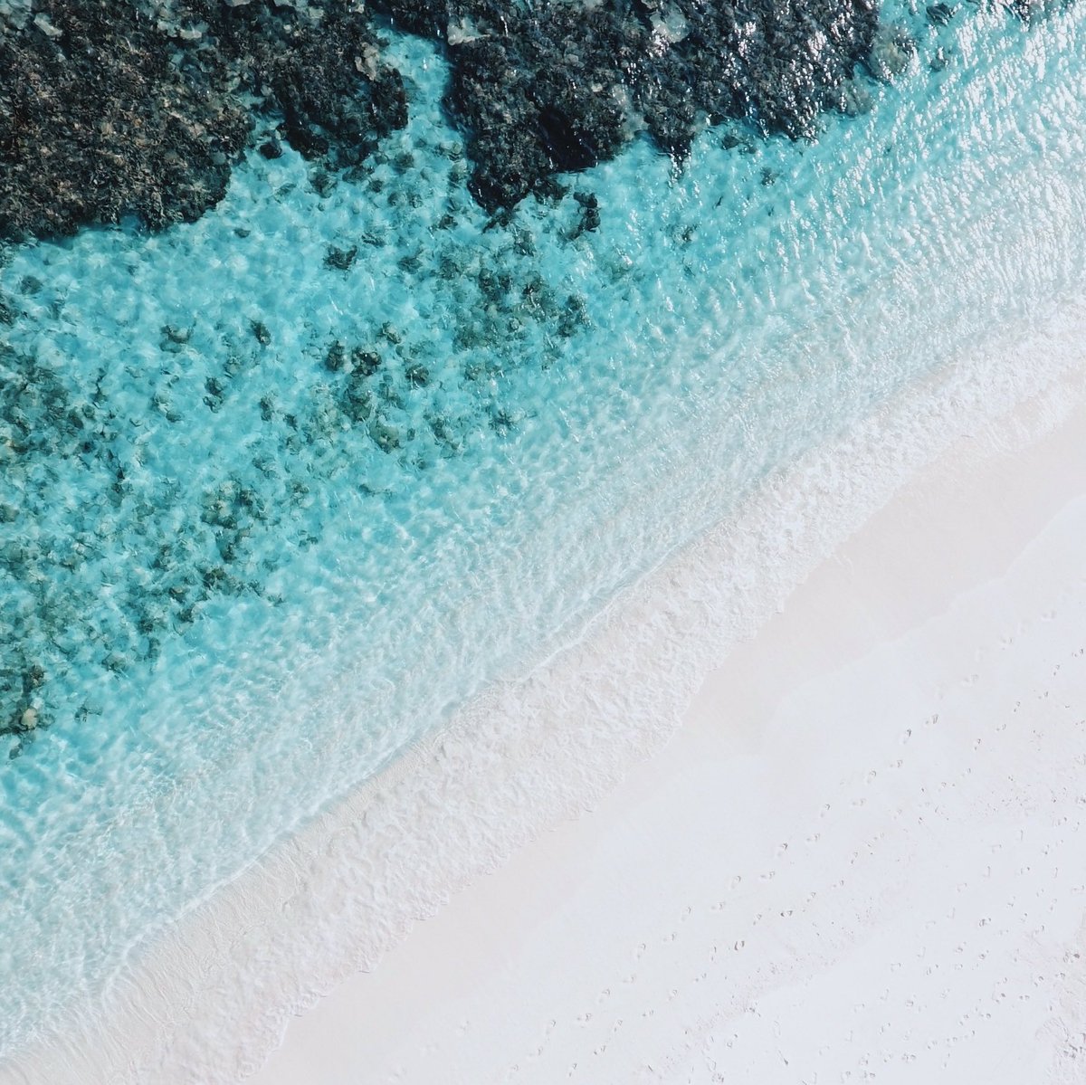 Trilogy Products tweet media