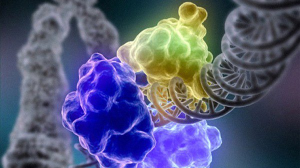 De #DNA #technology gaat de toekomst van genen bepalen. Is de brein van jongeren klaar voor human game changer? #makesyouwonder educatie <a href="/VPROTegenlicht/">VPRO Tegenlicht</a>